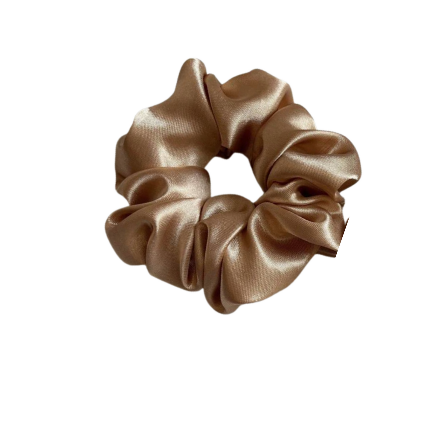 Hair Scrunchie